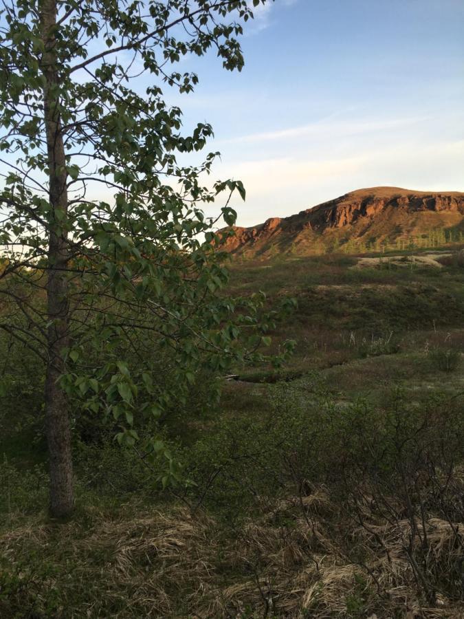 Hemrumork - Chalet Upper Kirkjubæjarklaustur Kültér fotó